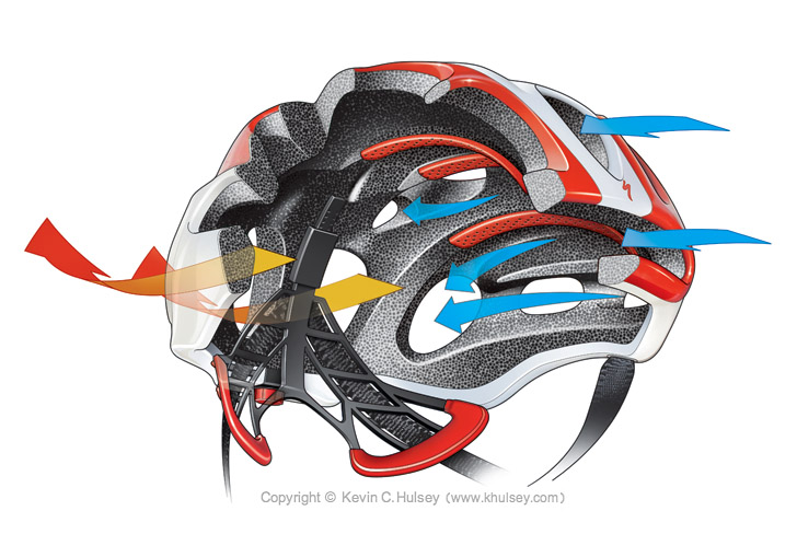 bike helmet cutaway